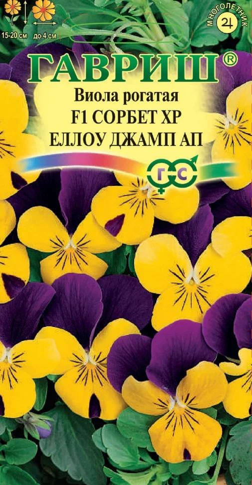 Сорбет XP Еллоу Джамп Ап