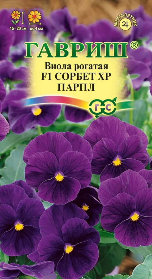 Сорбет XP Парпл