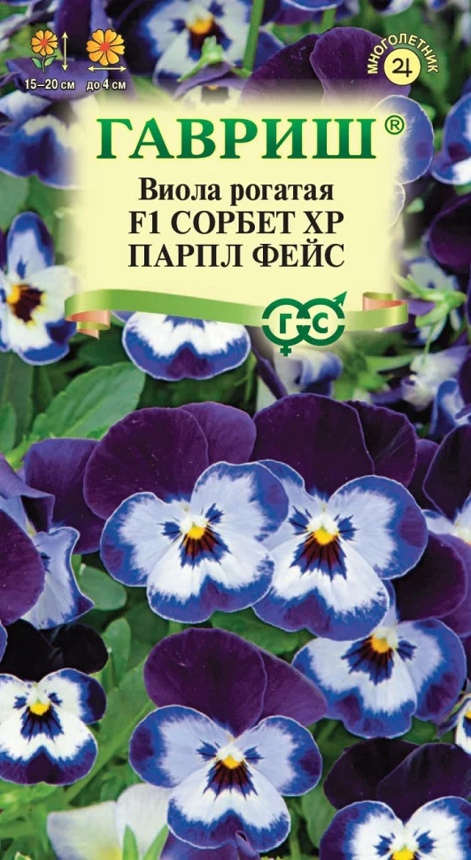 Сорбет XP Парпл Айс