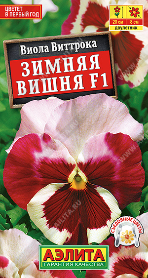 Зимняя вишня