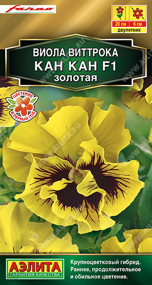 Кан Кан золотая