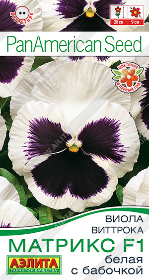 Матрикс белая с бабочкой