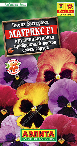 Матрикс Прибрежный восход