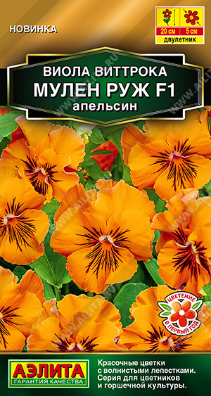 Мулен Руж апельсин