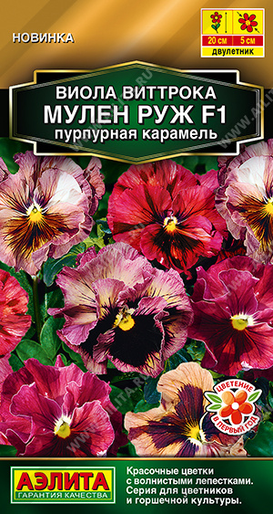 Мулен Руж пурпурная карамель