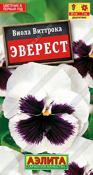 Эверест