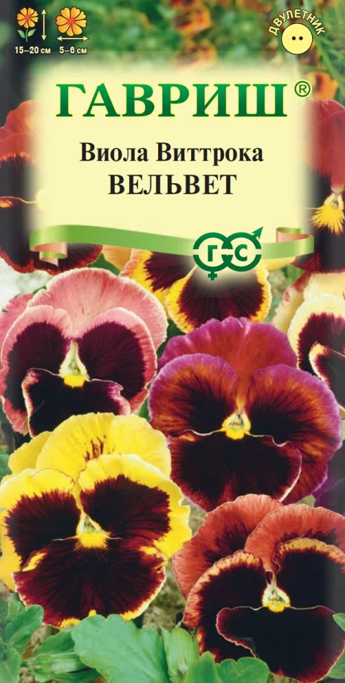 Вельвет