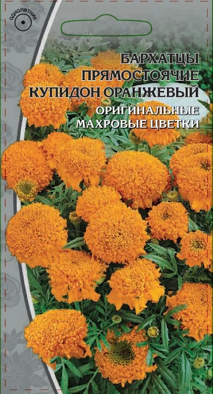 Миниатюра изображения сорта Купидон оранжевый