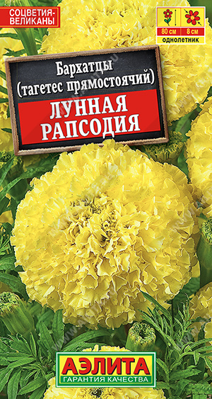 Лунная рапсодия