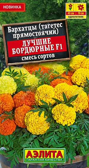 Лучшие бордюрные