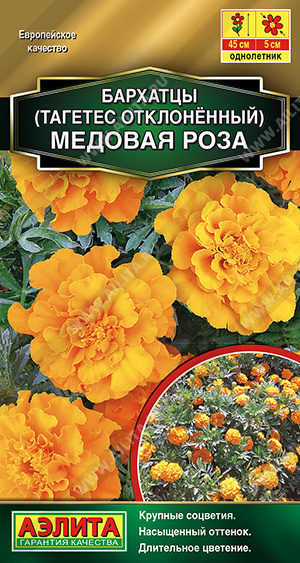 Медовая роза