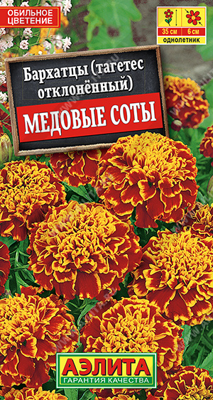 Медовые соты