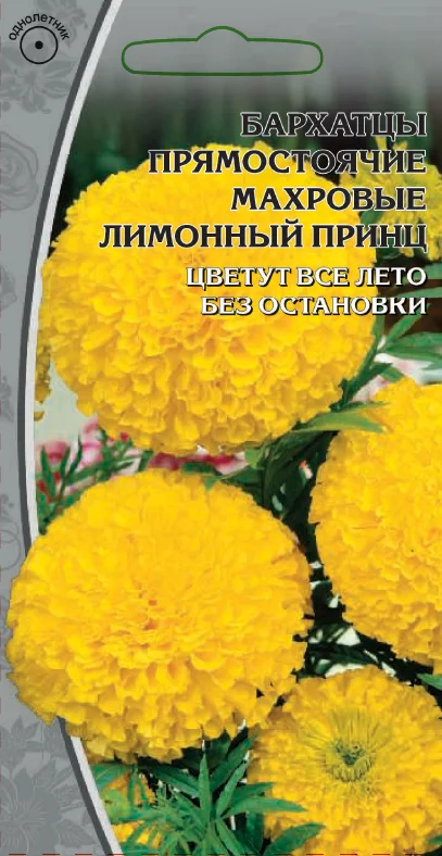 Миниатюра изображения сорта Лимонный принц