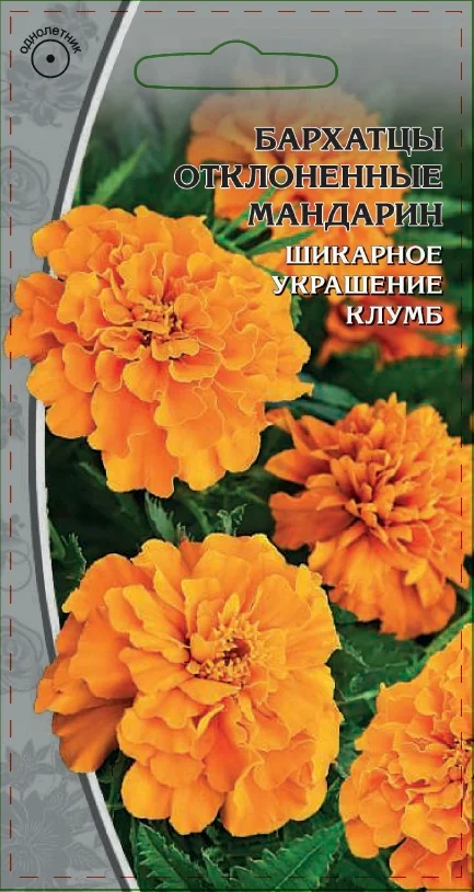 Миниатюра изображения сорта Мандарин