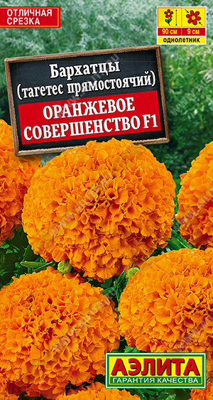 Оранжевое совершенство