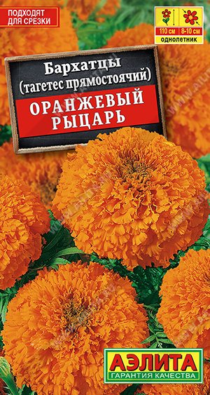 Оранжевый рыцарь