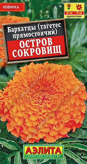 Остров сокровищ