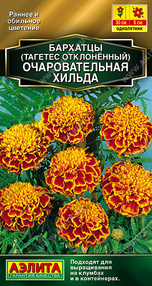 Очаровательная Хильда