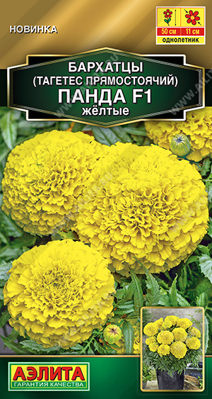 Панда желтые