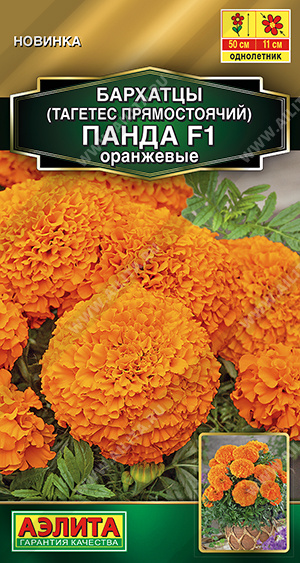 Панда оранжевые