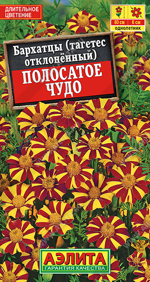 Полосатое чудо