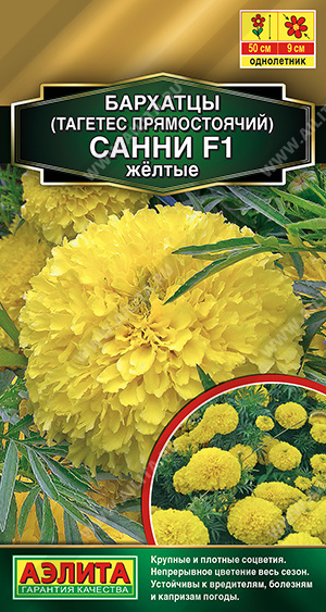 Санни желтые