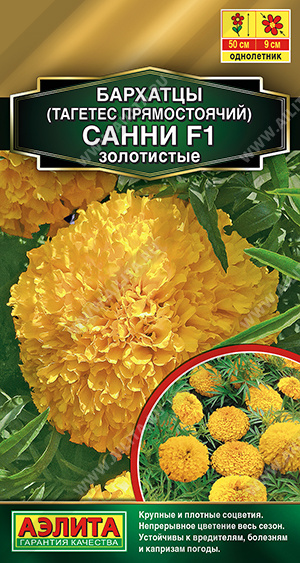 Санни золотистые