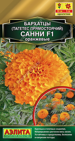 Санни оранжевые