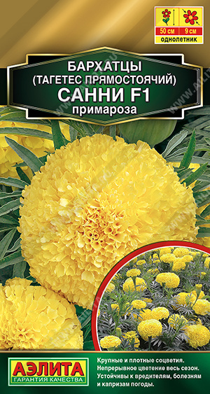 Санни примароза