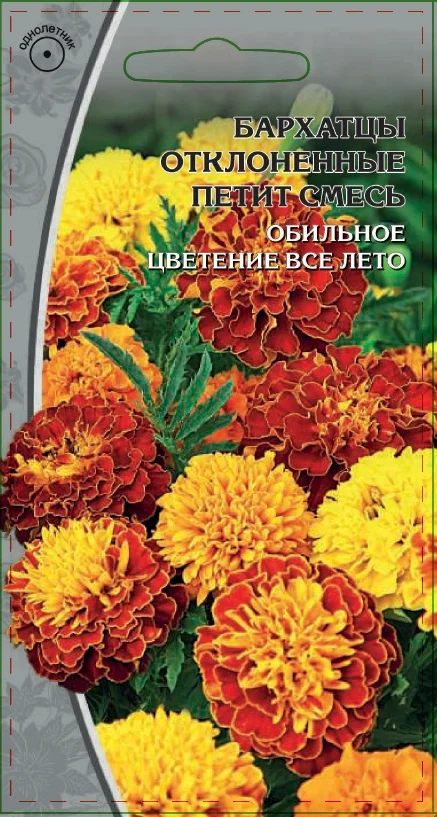 Миниатюра изображения сорта Петит (смесь окрасок)