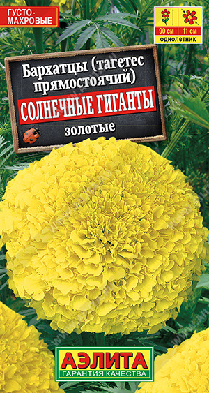 Солнечные гиганты золотые