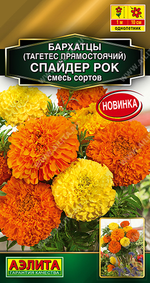 Спайдер рок