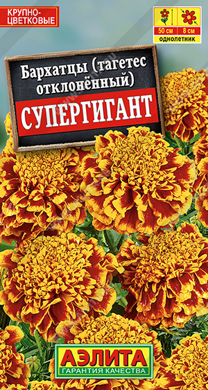 Супергигант