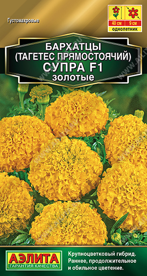 Супра золотые