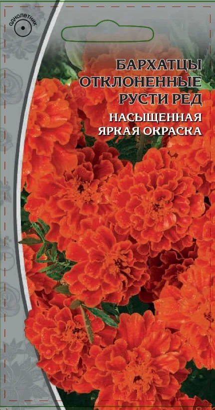 Миниатюра изображения сорта Русти Ред