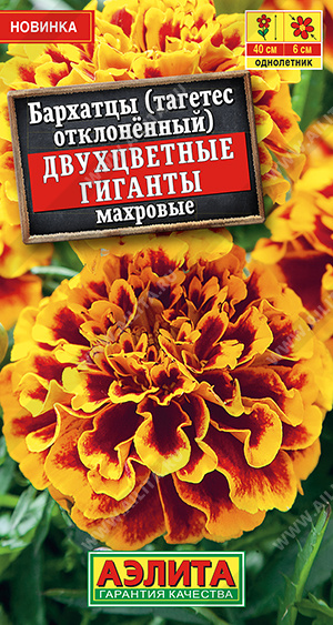 Двухцветный гигант