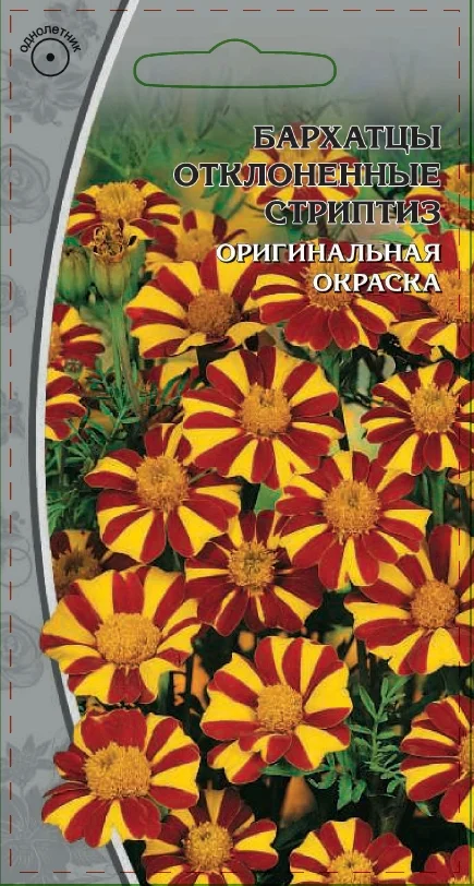 Миниатюра изображения сорта Стриптиз