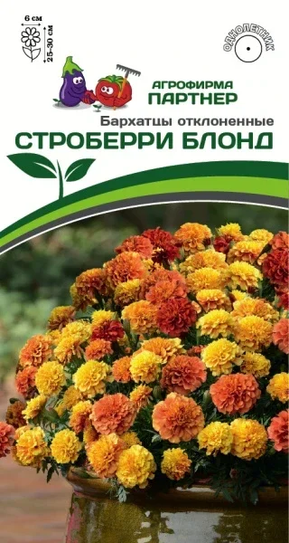 Миниатюра изображения сорта Строберри блонд (Клубничный блонд)