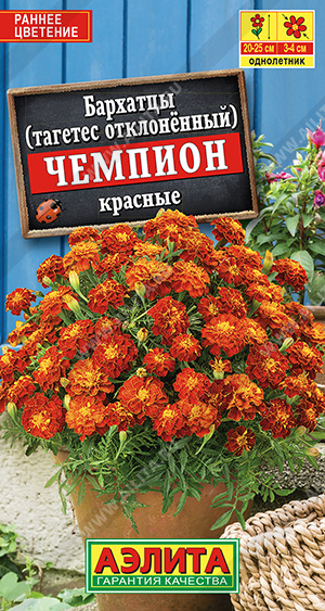 Чемпион красные