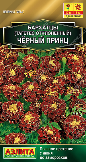 Черный принц