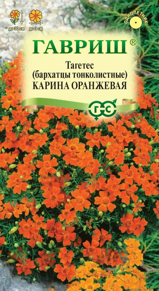 Карина оранжевая