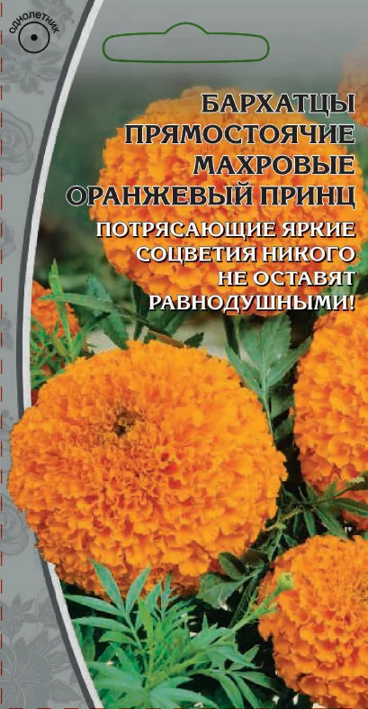 Миниатюра изображения сорта Оранжевый принц