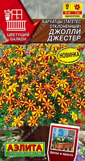 Джолли Джестер