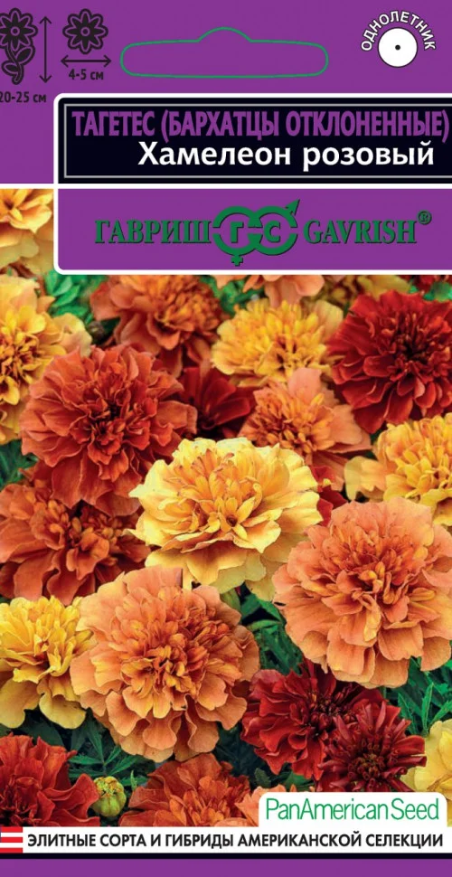 Хамелеон розовый