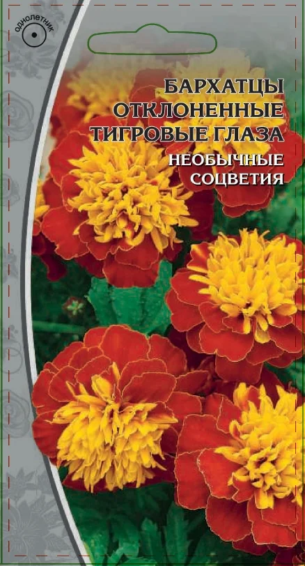 Миниатюра изображения сорта Тигровые глаза