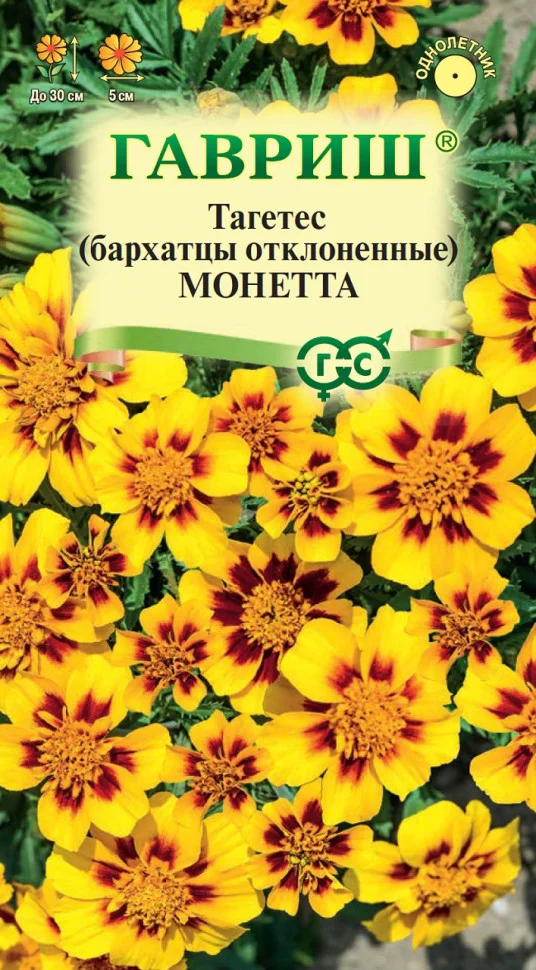 Монетта