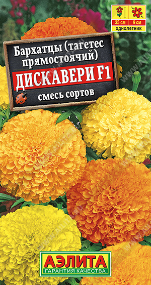 Дискавери
