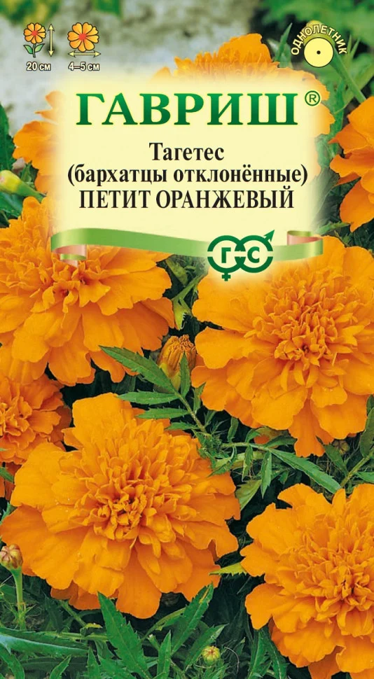 Петит оранжевый