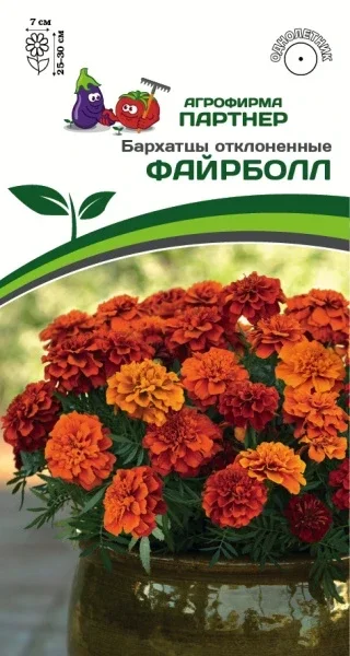 Миниатюра изображения сорта Файербол