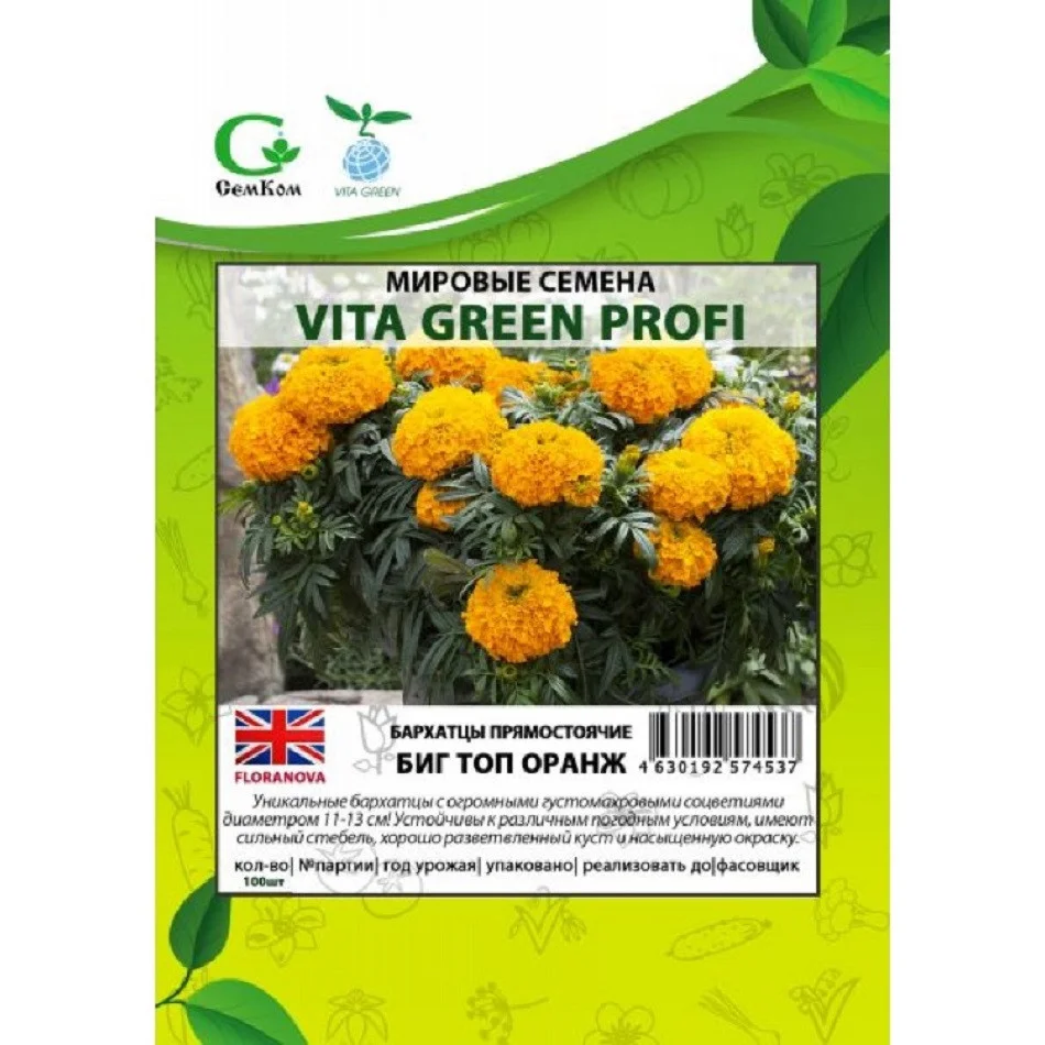 Биг Топ Оранж